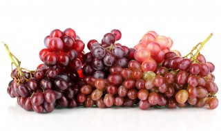 葡萄种子催芽方法简单(怎样让葡萄种子发芽)