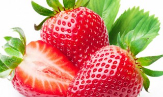 草莓种子催芽前需要泡种吗 买的草莓种子怎样才能让它发芽?