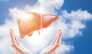 正宗凉拌牛肝的做法（凉拌牛肝的做法最正宗的做法窍门）