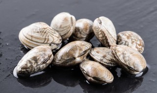 蛤蜊肉怎么做好吃又嫩 蛤蜊肉的做法窍门