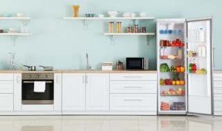 冰箱冷冻室温度多少合适(容声冰箱冷冻室温度多少合适)