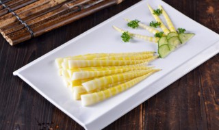 如何养好冬笋（冬笋怎么养殖）