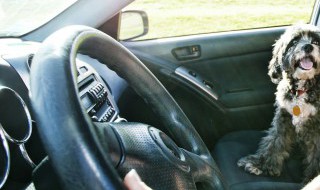 汽车空调多久加一次氟(汽车空调多久加一次氟利昂)