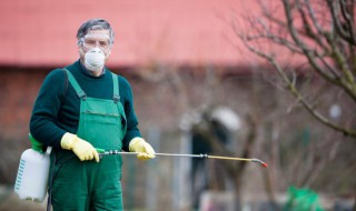 家里放什么驱蚊虫(屋里放什么东西可以驱虫驱蚊)