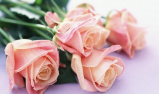 情人节给老婆送什么礼物（情人节给老婆送什么礼物?）