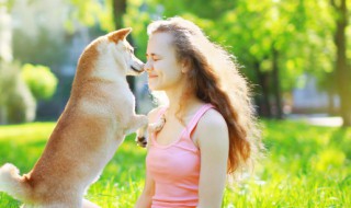 怎么去除狗味 家里怎么去除狗味