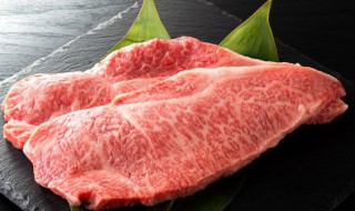 猪肉梅花肉是哪个部位（猪肉的梅花肉是哪个部位）
