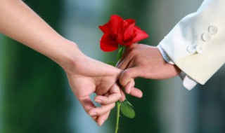 如何养好一支花（一支玫瑰花怎么养）