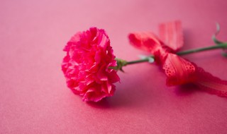 母亲过生日送什么花比较好 母亲过生日送什么花比较好多少朵