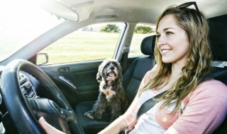 水箱多久加一次水（汽车发动机水箱多久加一次水）