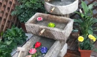 石猪槽放家里什么意思（石头猪槽家里摆放位置）