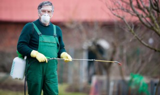 家里有隐翅虫怎么去除 家里有隐翅虫如何全部根除