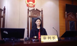 法庭上怎么称呼法官（法庭上怎样称呼法官）