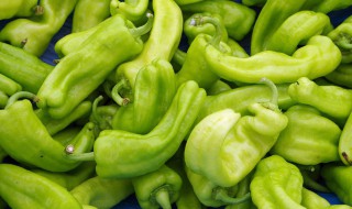 青辣椒炒杏鲍菇怎么做好吃（青红椒炒杏鲍菇的做法）