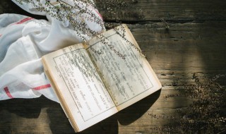 伴字组词（这字组词）