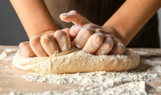 面粉发酵好了怎么保存 发酵的面如何保存