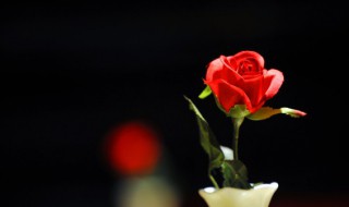 古代怎么称呼花（古代怎么称呼花香）