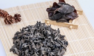 青椒木耳炒鸡蛋最正宗的做法（木耳青椒炒鸡蛋的做法窍门）