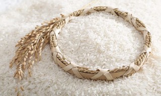 米放冰箱冷藏可以放多久 煮玉米放冰箱冷藏可以放多久