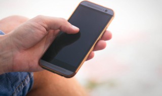 迷你世界果树怎么种 迷你世界怎么种果木树苗