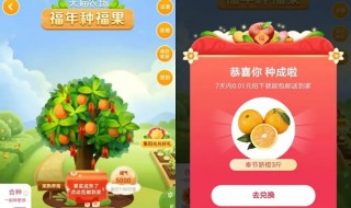 我的天猫福果树怎么种不上 天猫可以种果树吗