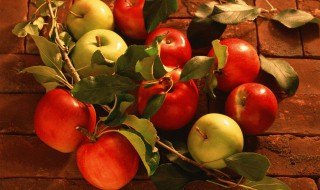 苹果树怎么用苹果种子来种（苹果树苗是种子种出来的?怎么种）