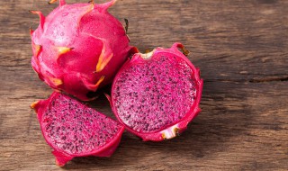 天台怎么种火龙果树（阳台能种火龙果树吗）