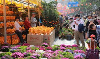 卧室内放什么花最好 卧室里放什么花最好