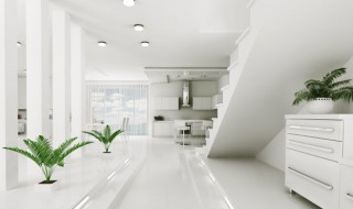 不宜在室内养的花 什么样的花不能在室内养