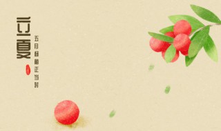 立夏可以种丝瓜吗 立夏还能种丝瓜吗