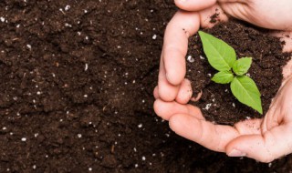 泥土有什么特点（泥土的特点是什么）