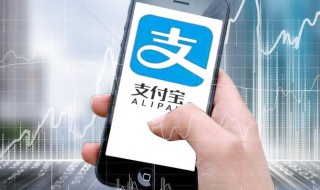 支付宝的支付密码怎么改（支付宝的支付密码怎么改新密码）