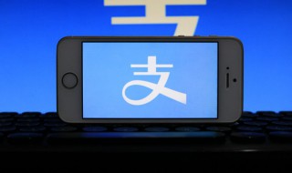 支付宝商家版怎么开通（支付宝商家版怎么开通花呗收款）