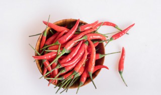 果树上的辣椒怎么种（辣椒种在树下可以吗）