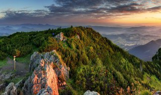 蒙顶山旅游攻略（蒙顶山游玩攻略）