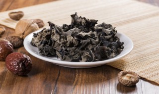 木耳可以冷冻保存吗 泡好的木耳可以冷冻保存吗