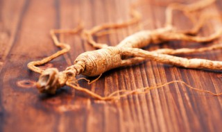 新鲜的党参怎么保存时间长点 干党参的保质期是多久 怎么存放