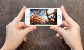 铃钱树怎么种动森 动森 金钱树是一直长的吗