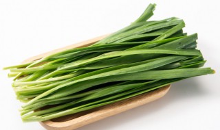 阳台种韭菜的窍门(阳台种韭菜的方法和步骤)