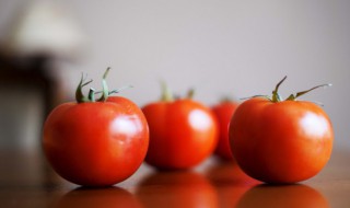 阳台种西红柿怎样整枝 阳台种西红柿的方法