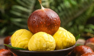 怎么种板栗树 板栗树适合种在什么地方