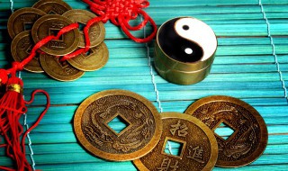 家里放什么最招财（家里放什么最招财好运）