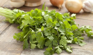 封闭阳台种什么菜好（封闭阳台怎样种菜）