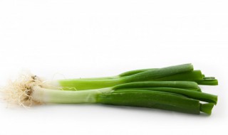 阳台怎么种葱 阳台怎么种葱花
