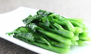 阳台种青菜的方法（阳台种青菜的方法和步骤）