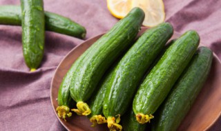 黄瓜如何种植长的好（黄瓜怎么种长得好）