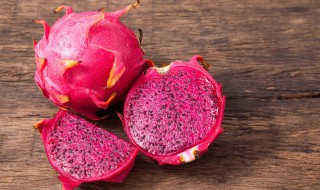 家里阳台种什么树盆景 家阳台适合种什么树