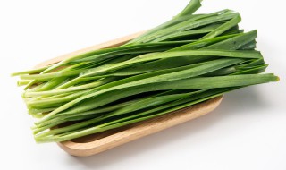 哪些蔬菜能在阳台上种（阳台上可以种什么蔬菜）