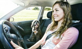 汽车刹车片是什么材质(刹车片有哪些材质)