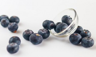 阳台种蓝莓的方法 阳台盆栽蓝莓怎么养